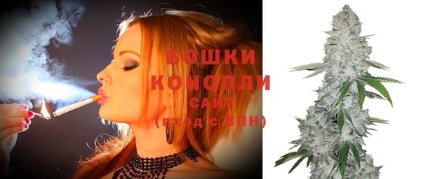 Альфа ПВП Снежногорск