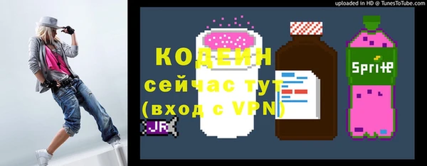 стаф Снежинск