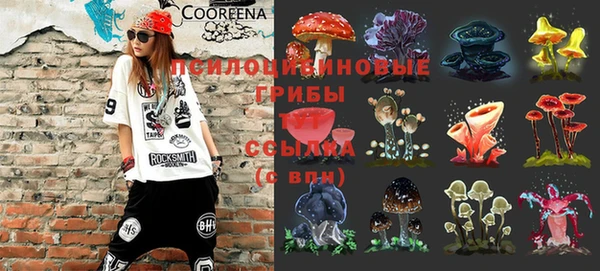 гашик Абдулино