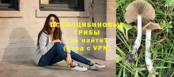 стаф Слюдянка
