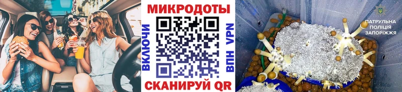 дарк нет как зайти  Карпинск  Псилоцибиновые грибы Psilocybine cubensis 