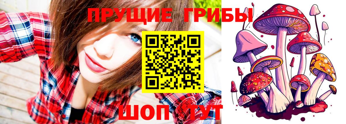 купить  сайты  Псилоцибиновые грибы Magic Shrooms  Вход с VPN  Галлюциногенные грибы Cubensis  Карпинск 